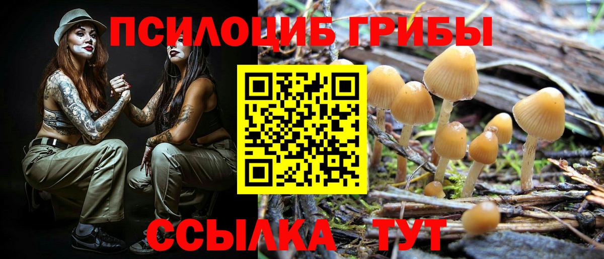 Удомля  Галлюциногенные грибы мицелий  Вход с VPN  Псилоцибиновые грибы Cubensis 