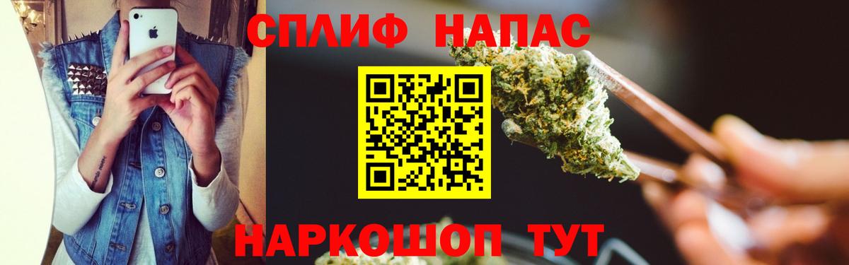 Бошки Шишки план Удомля